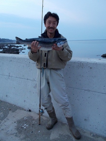 10264581_443781332391719_5205944150484451128_n