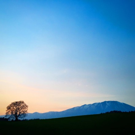 11128717_930822890273189_2446714339181132494_n