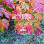 2017.9.15 FRI 『MUSIC BOX』 HIROO LOUNGE