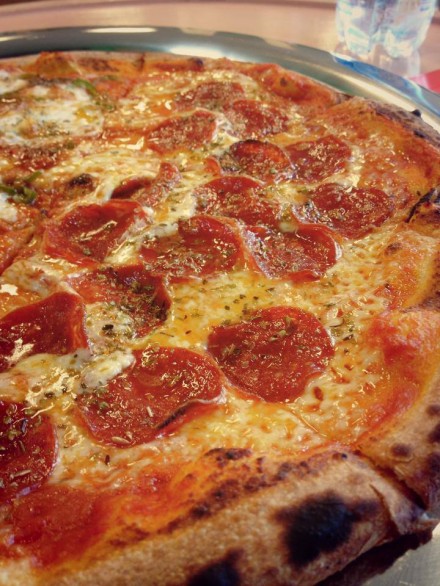 945206_295936517214519_390313107_n